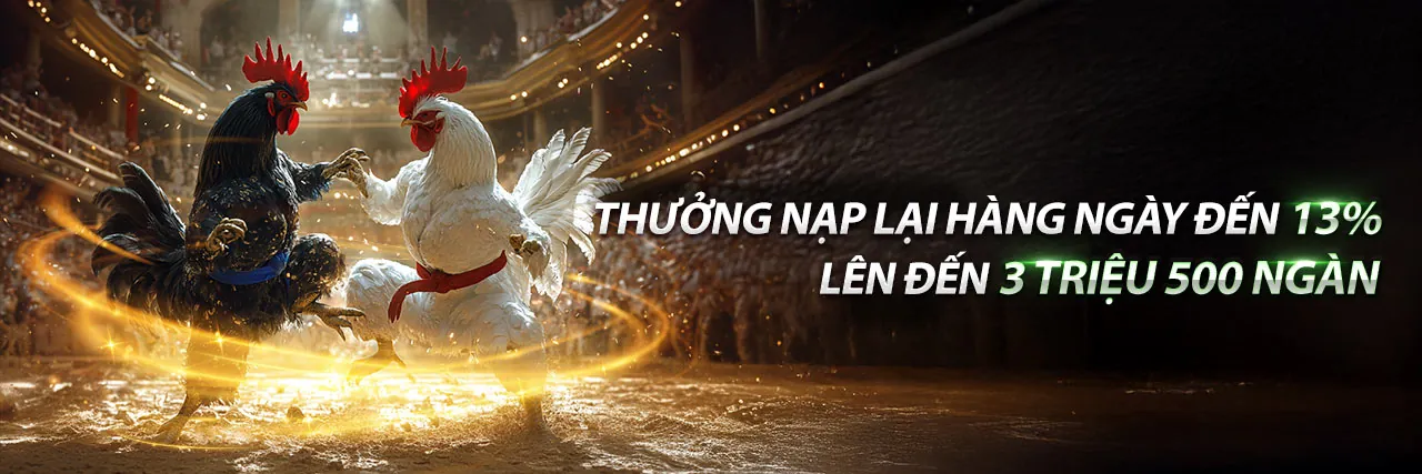 Sân đấu đá gà trực tuyến hoành tráng với mã quà tặng dagac3 2026